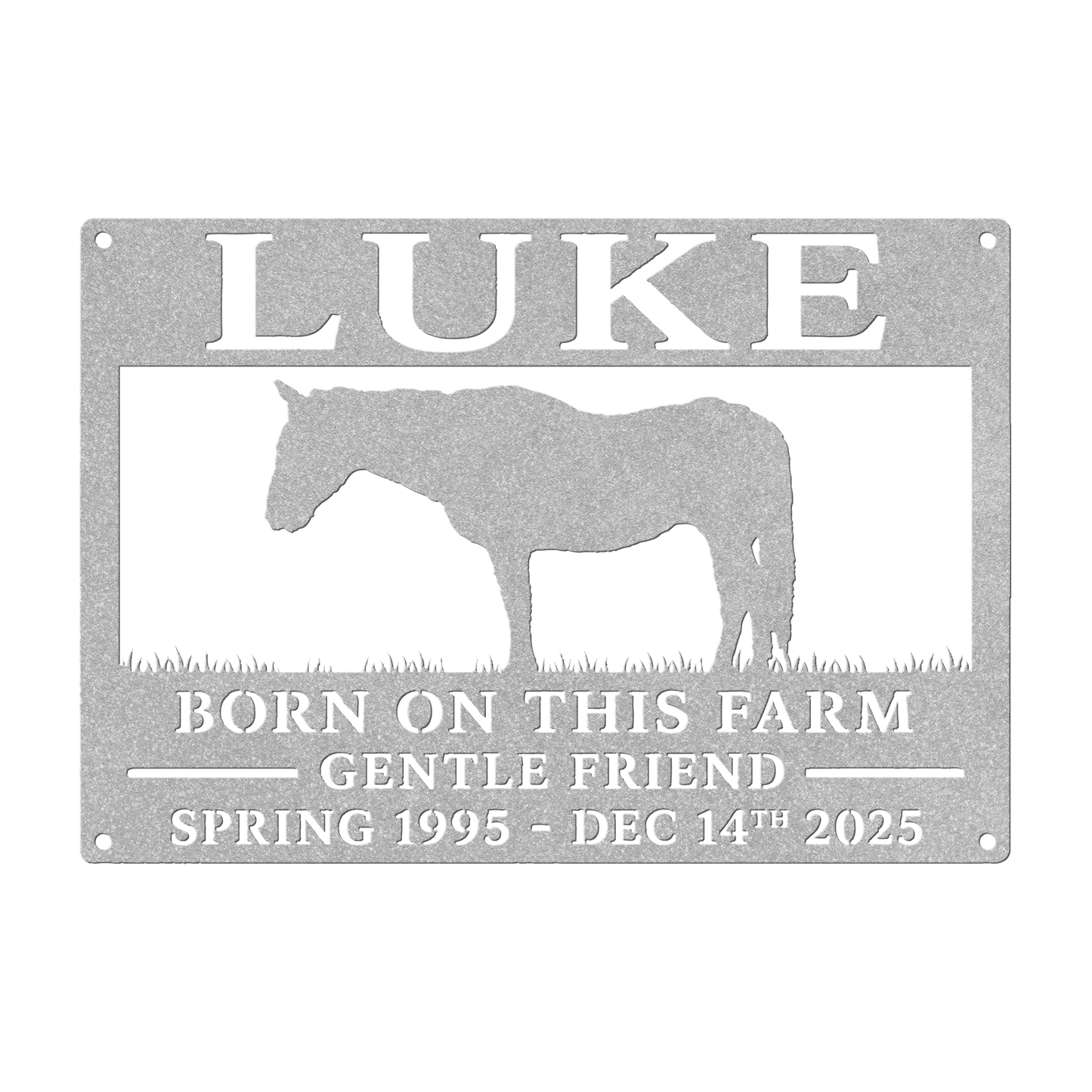 luke_2_Silver_Transparent_Mockup.png_15632072