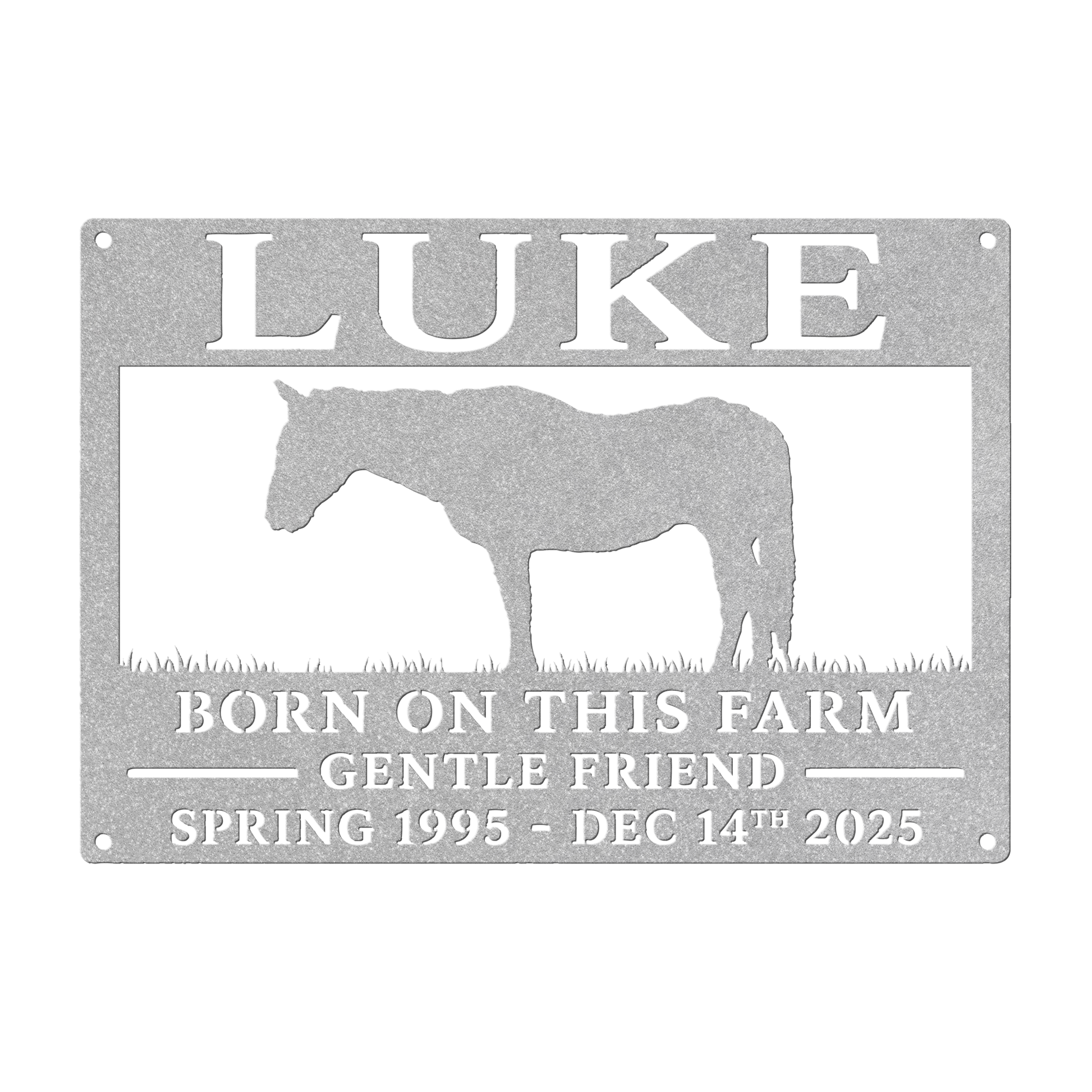 luke_2_Silver_Transparent_Mockup.png_15632072